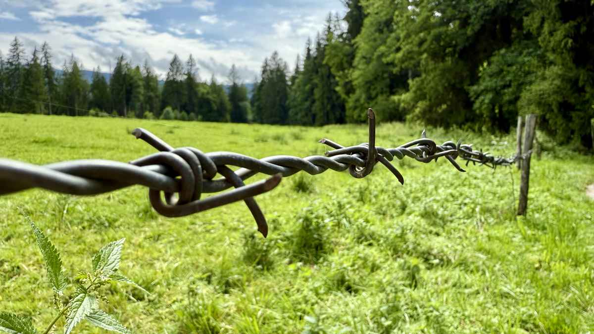 Brettlwiesweg an der Wieskirche