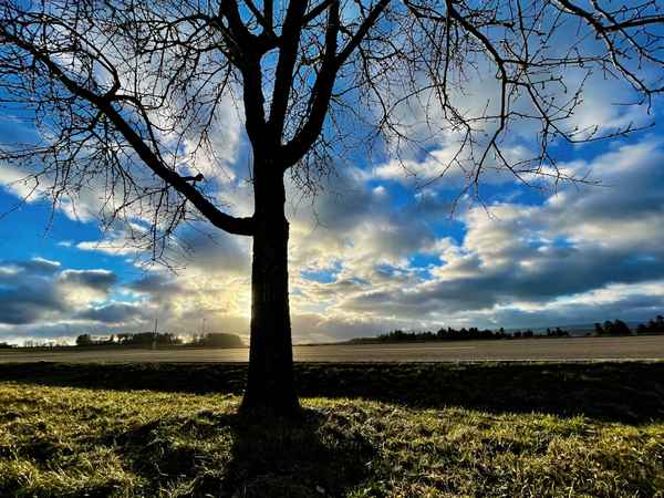 Gegenlicht-Dramatik im Winter