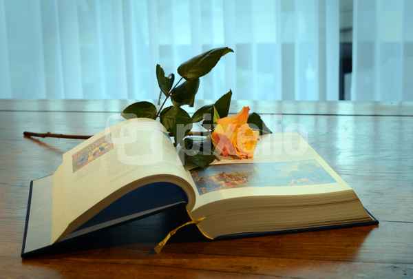 Eine Bibel