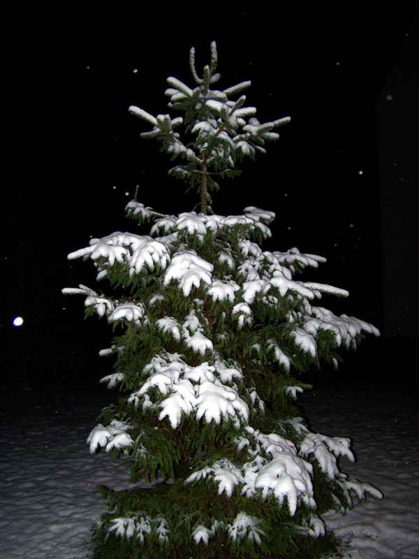 Schnee in der Nacht