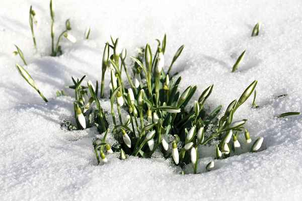 Ist noch Winter