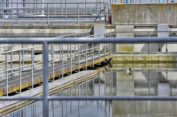 Ente gut  alles gut.