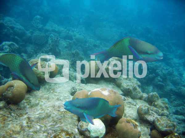 LucB7_IMG_4140