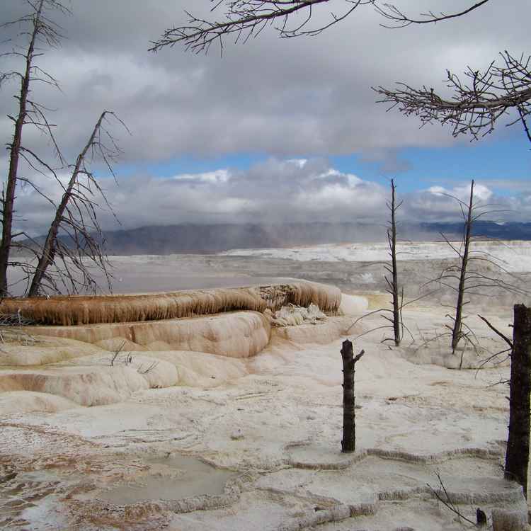 Stilleben - Weltuntergang