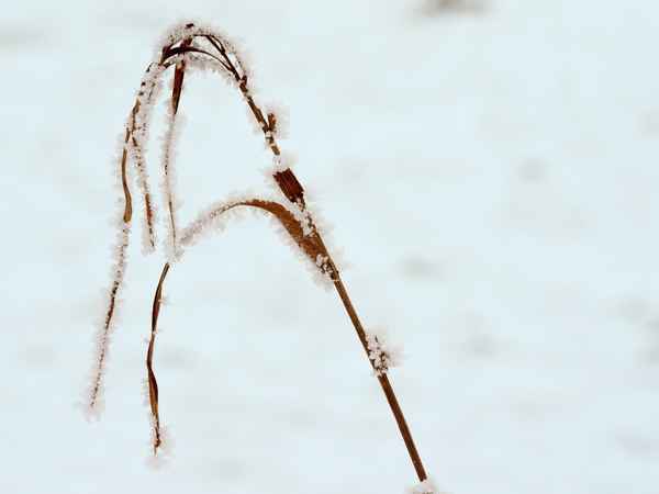 winterimpressionen 3