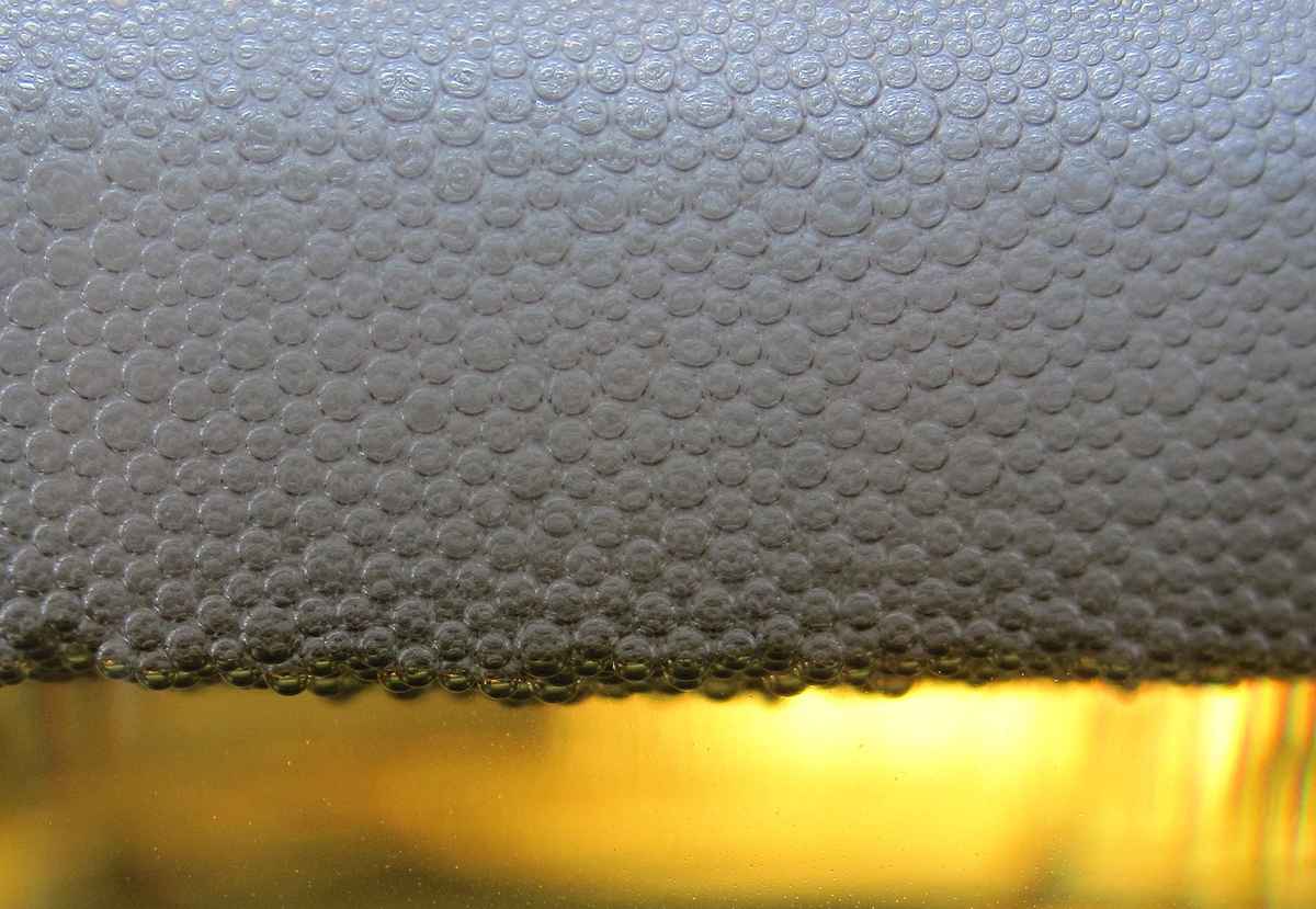 Biergenuss