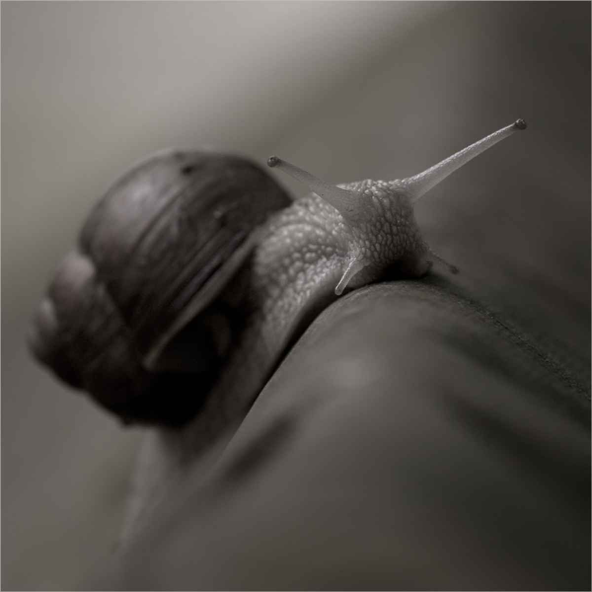 In der Ruhe liegt die Kraft...