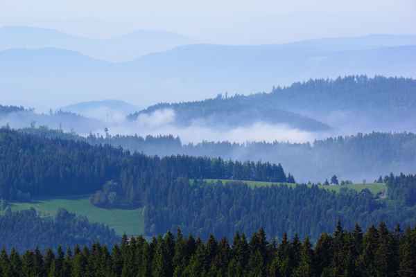 Fernsicht im Schwarzwald