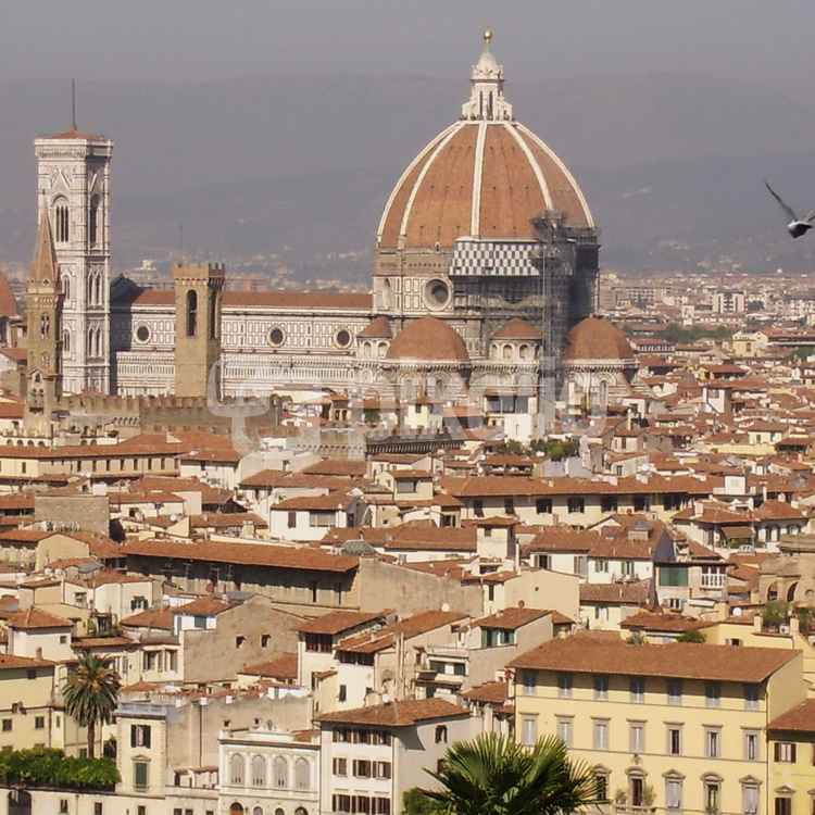 Blick auf Florenz 2