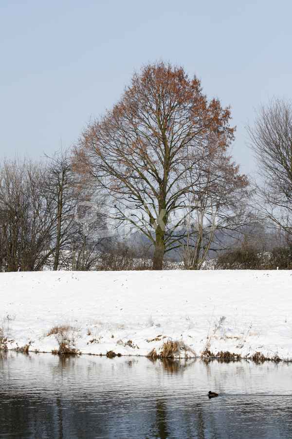 Wintermorgen