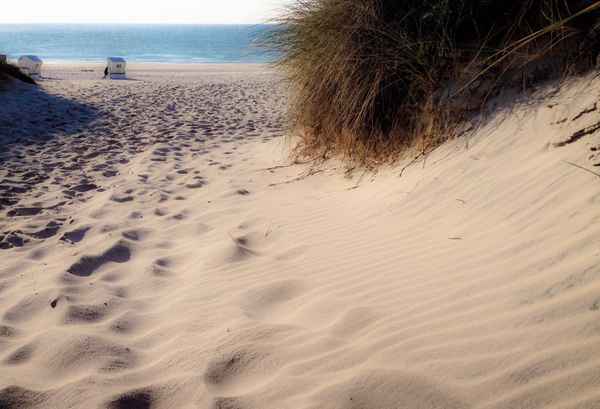 Weg zum Strand - Sylt