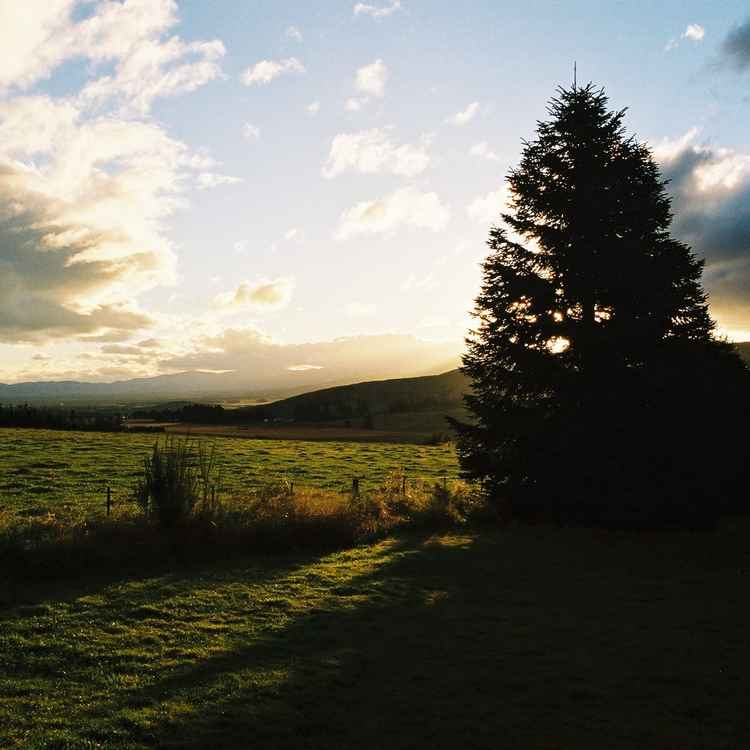 Abendstimmung beim Lake Te Anau