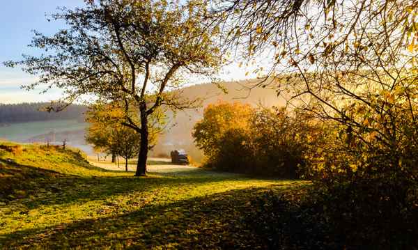 Morgensonne im Herbst