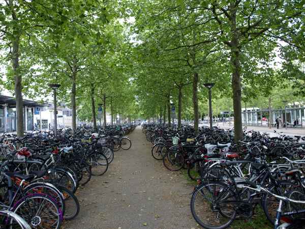 Fahrradparkplatz