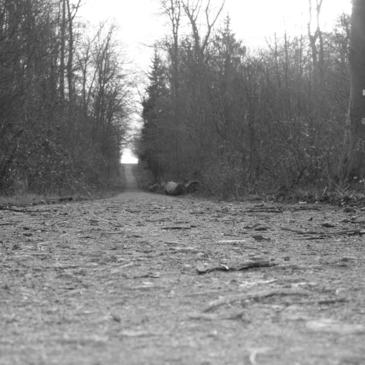 Waldweg