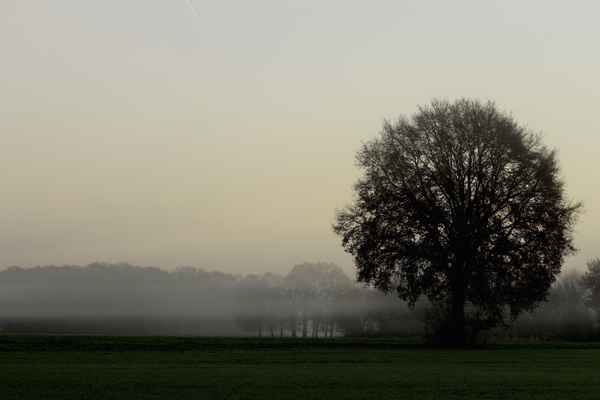 morgens unterwegs 5