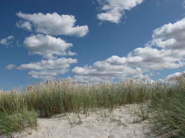 Sonne, Wind und Wolken