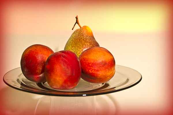 obstteller