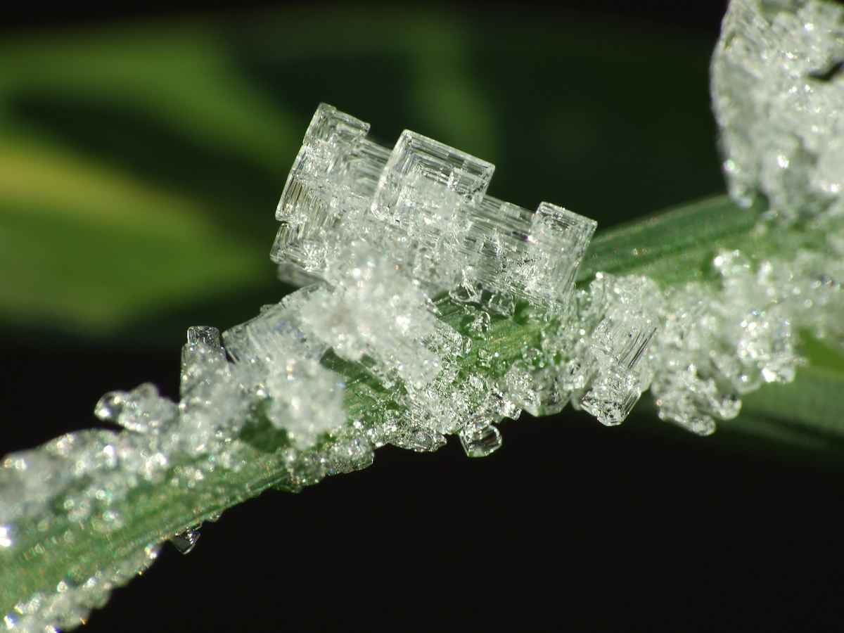 Wohlgeformte Eiskristalle