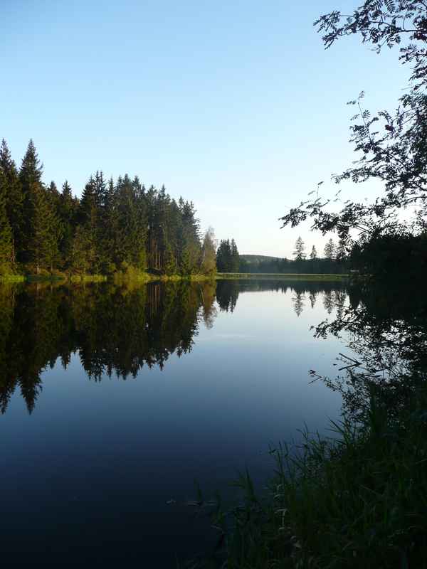 Harz-Landschaft 12