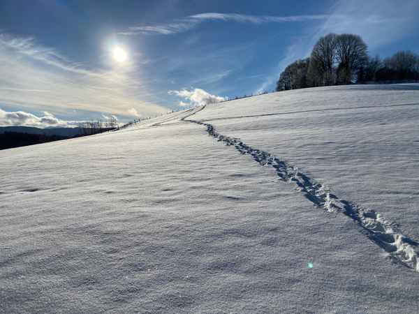 Winterspaziergang an Weihnachten 2020 / Foto: Alexander Hauk
