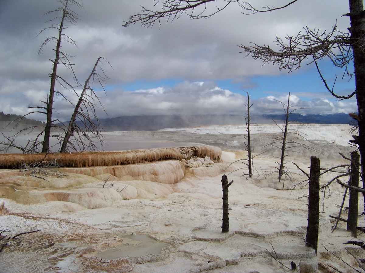Stilleben - Weltuntergang