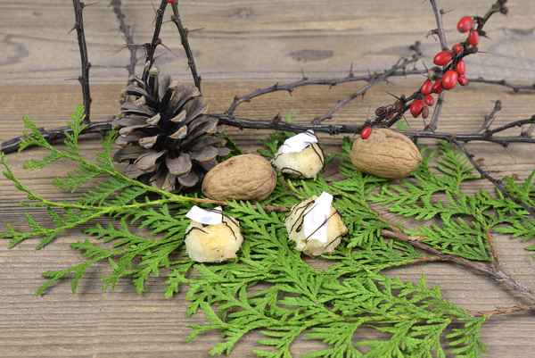 Kokoshäufchen, Kokosplätzchen