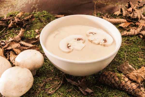 leckere Pilssuppe