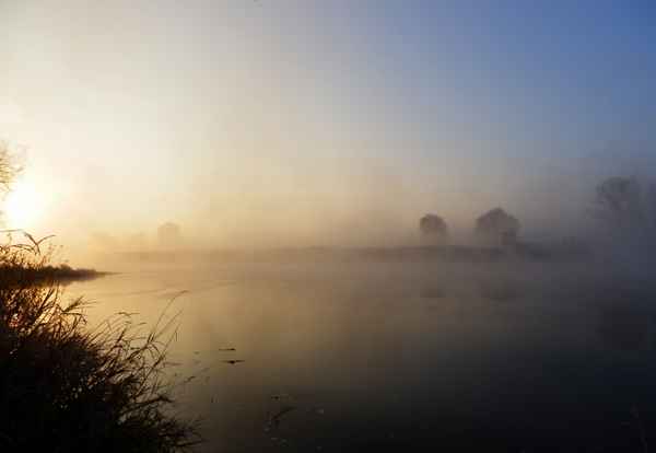 Schubverband im Nebel