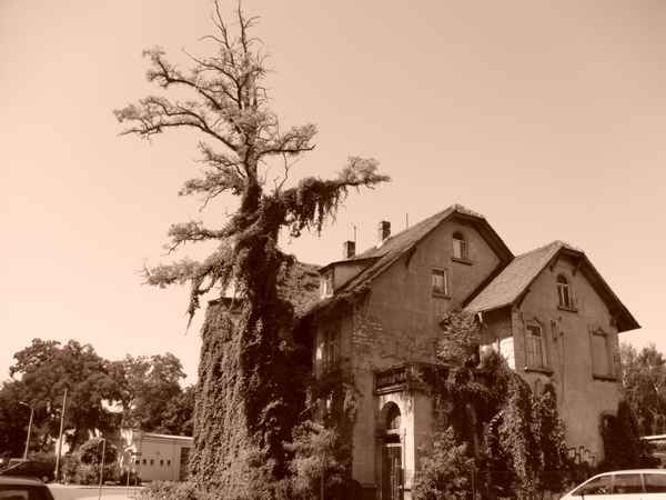 Altes Haus 2