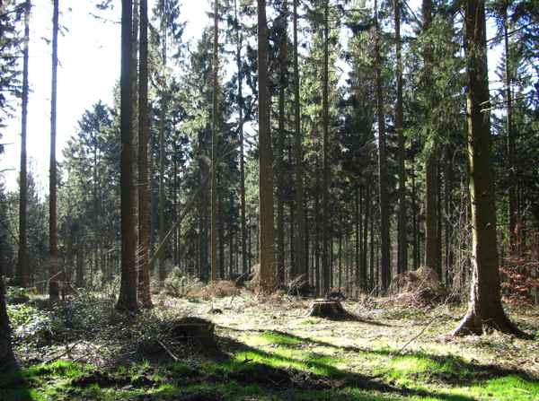 Licht und Schatten 4