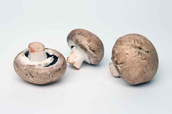 3 Champignons