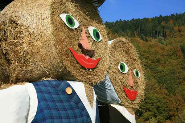 Blickfang für den Bauernmarkt in Schiltach/Schwarzwald