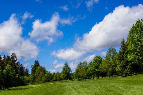 Golfen im Schwarzwald - GC Königsfeld