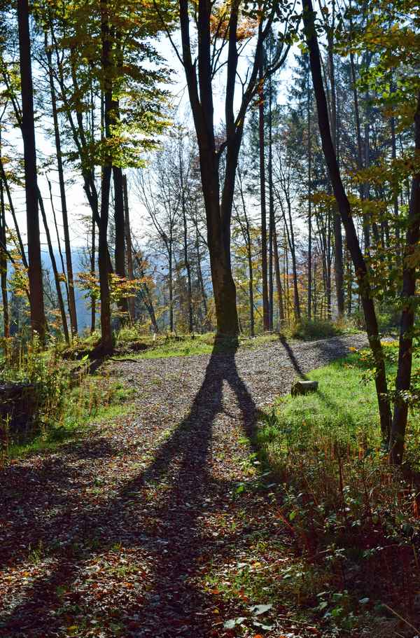Lange Schatten