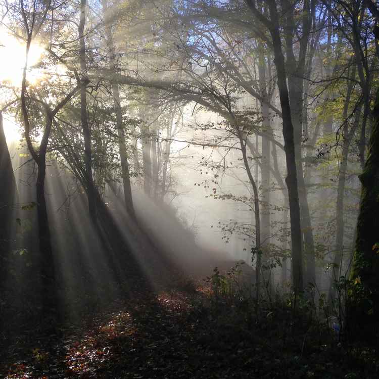 Die Sonne bricht durch