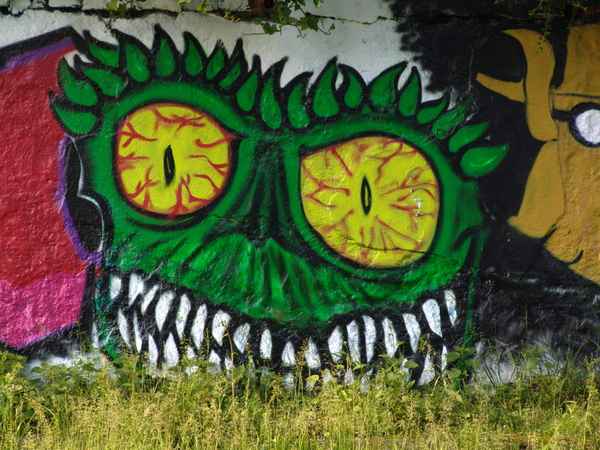 DAS GRASBEISSER GRAFFITI  !!