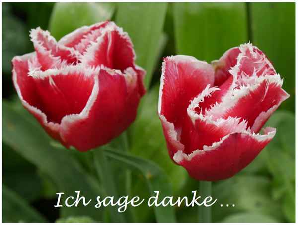 Ich sage danke