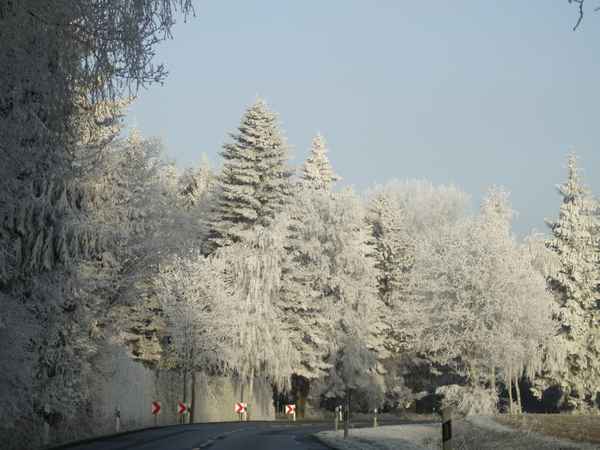 licht und schatten des winters