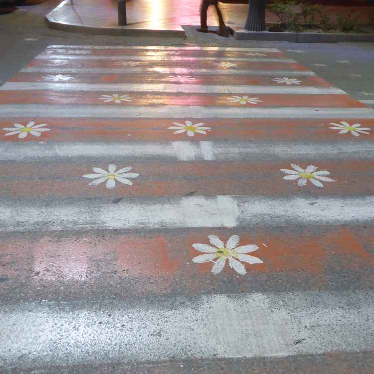 Blumiger Zebrastreifen