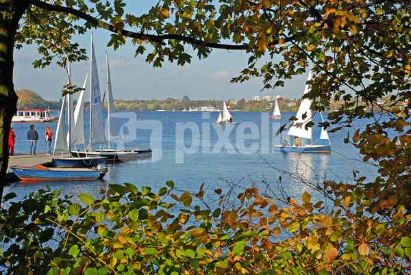 Herbst in der Stadt 2