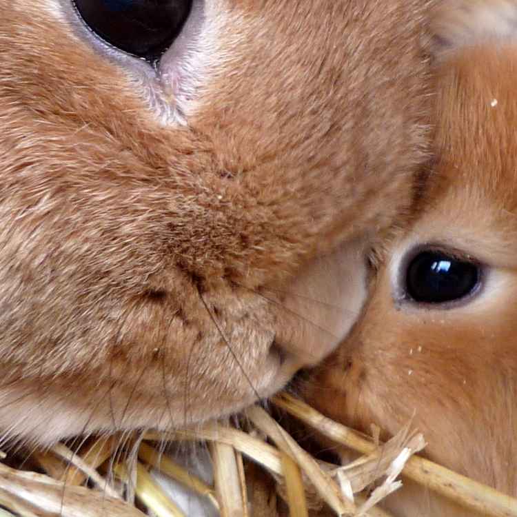 Ist es Liebe?