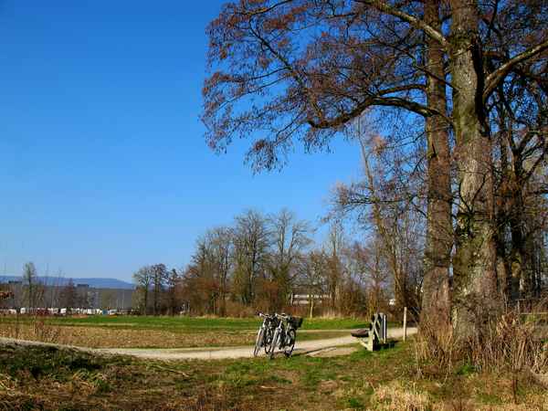 Auf dem Rad dem Frühling entgegen