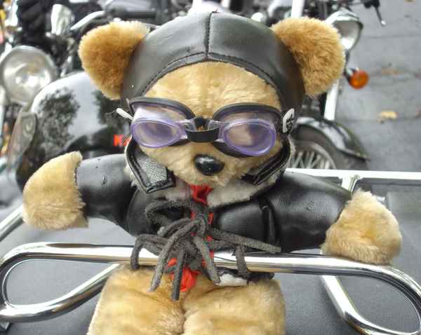 BIKERBÄRCHEN.......IMMER DABEI !