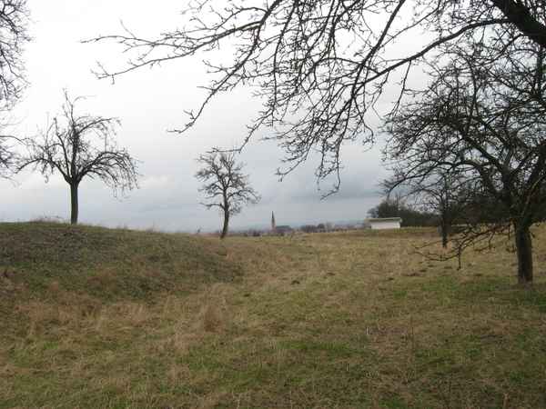 Streuobstwiese