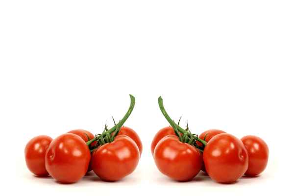 Tomaten 59