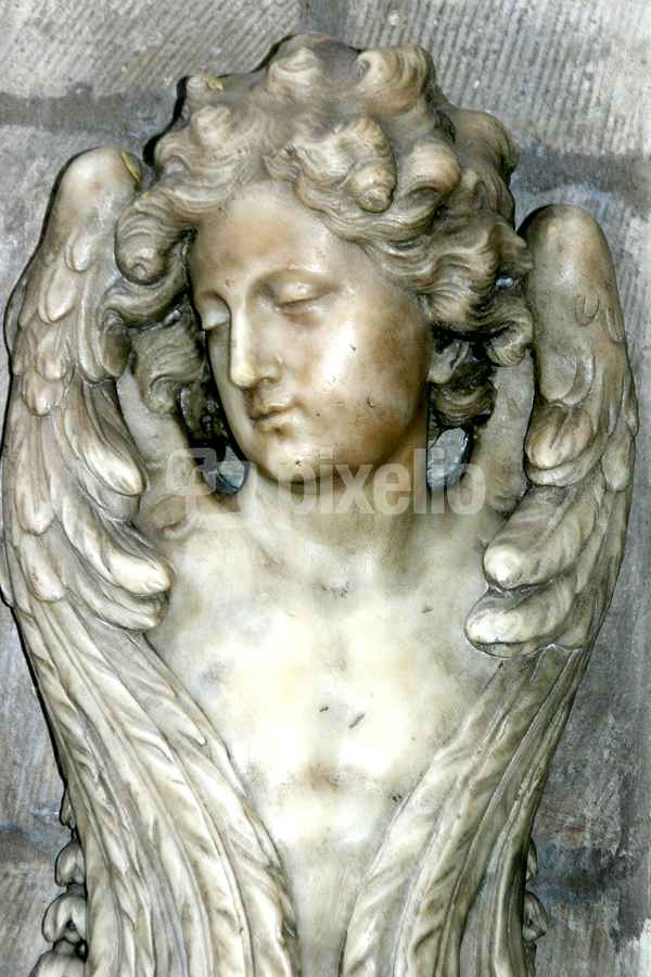 bucurescu 0543 engel