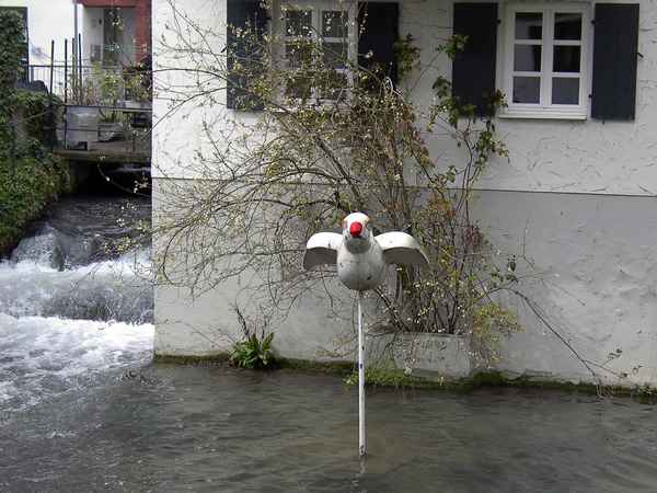 Ulm 8