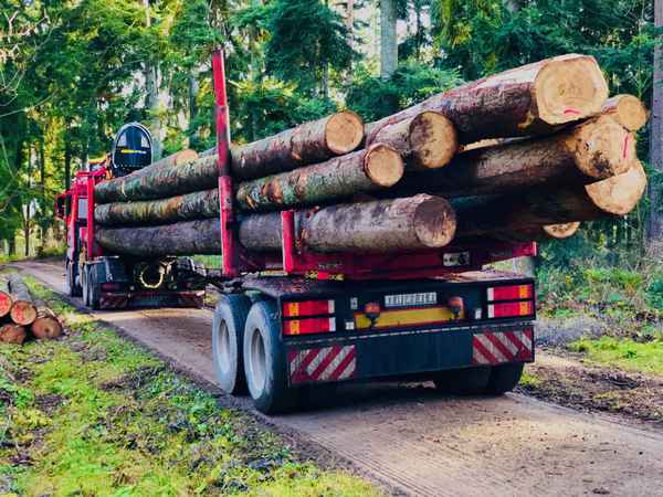 Langholztransporter im Wald