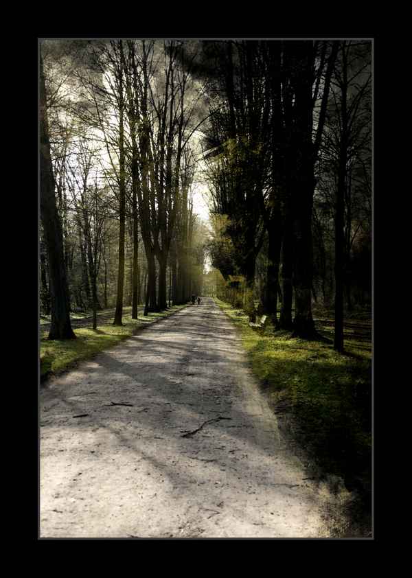 Der Weg zum Licht